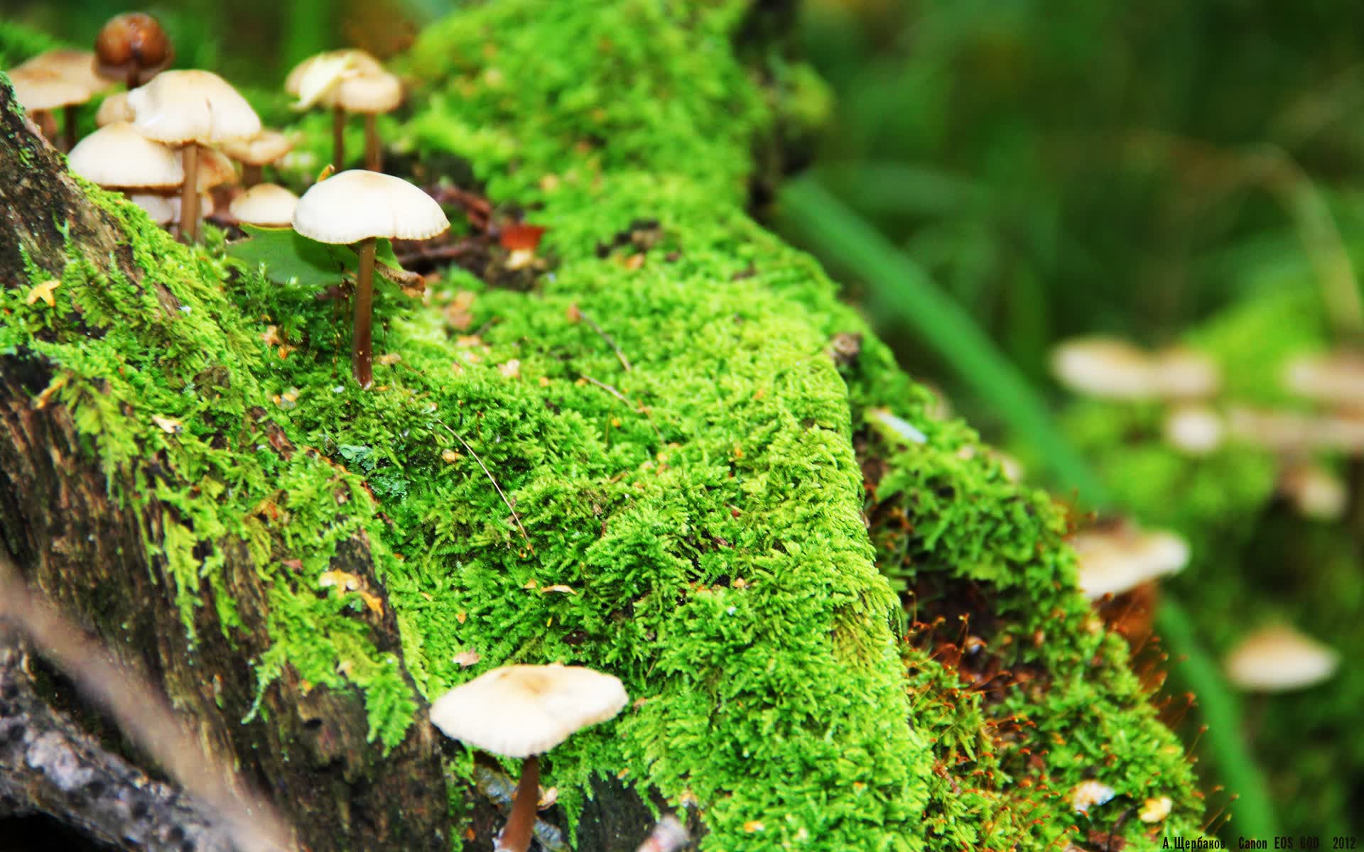 世界体能训练新课题发布:心肺适能周期化训练被验证有效,心肺体能训练动作大全